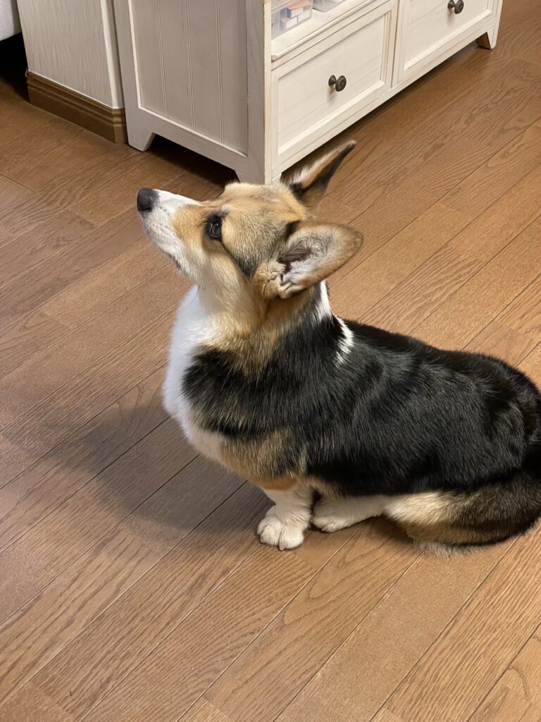 VFAメンバーの写真
